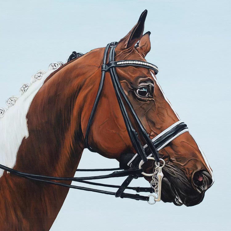 Horse Tabiano by Clara Bastian wall art