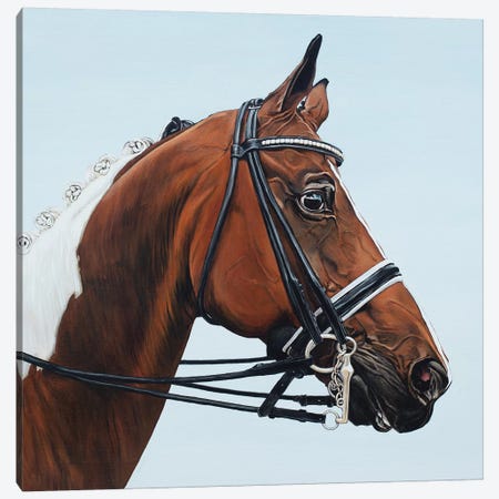 Horse Tabiano Canvas Print #BTN20} by Clara Bastian Canvas Art Print