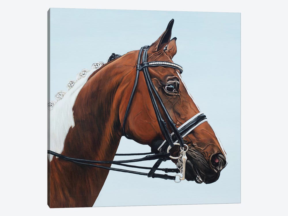 Horse Tabiano by Clara Bastian 1-piece Art Print