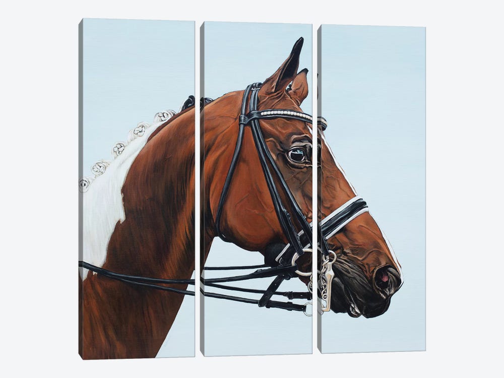 Horse Tabiano by Clara Bastian 3-piece Canvas Art Print