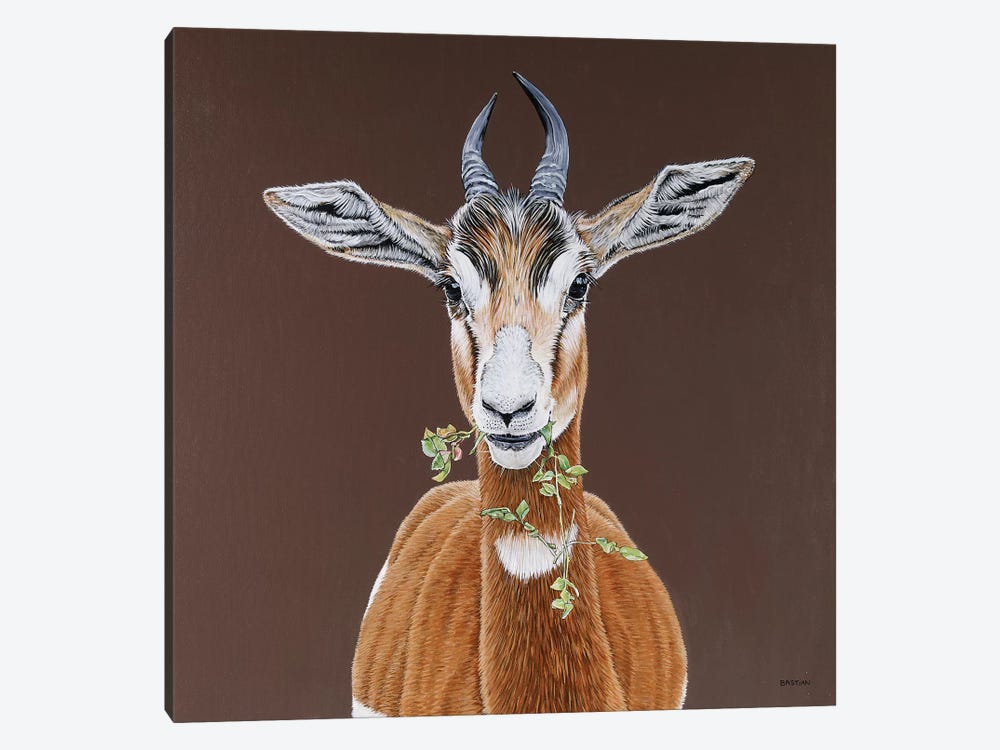 Mhorr Gazelle by Clara Bastian 1-piece Canvas Artwork