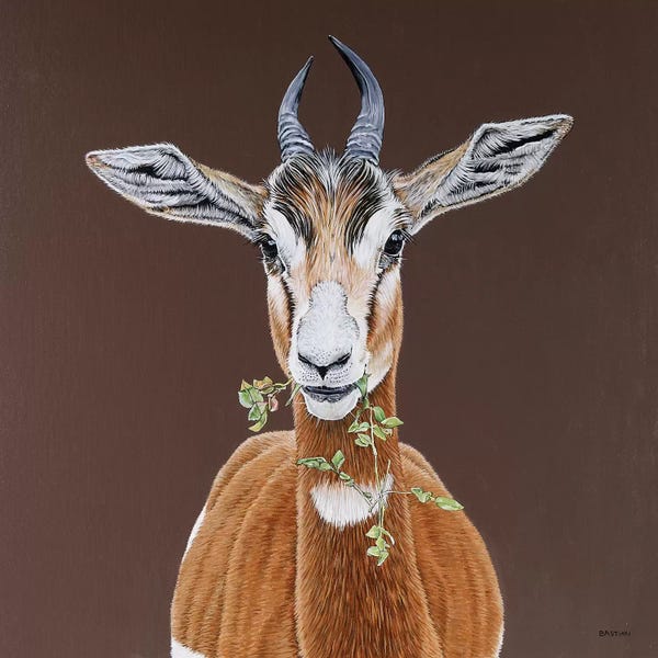 Antelopes: Mhorr Gazelle by Clara Bastian