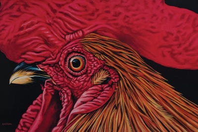 Orange Rooster by Clara Bastian acrylic art print