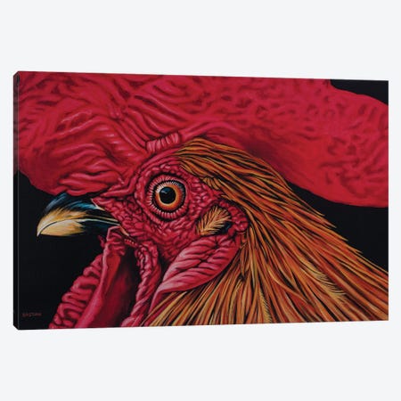 Orange Rooster Canvas Print #BTN29} by Clara Bastian Canvas Art Print