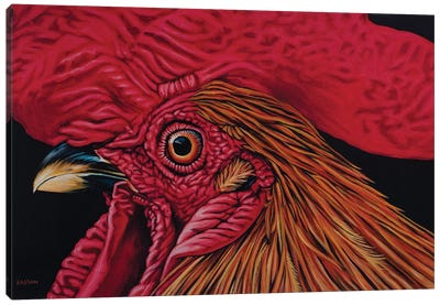 Orange Rooster Canvas Art Print - Chicken & Rooster Art