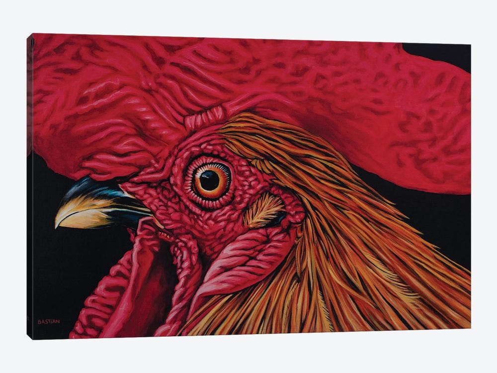 Orange Rooster by Clara Bastian 1-piece Canvas Art