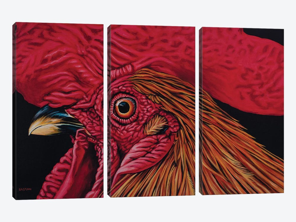 Orange Rooster by Clara Bastian 3-piece Canvas Art