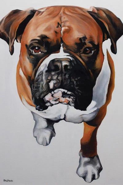 Boxer by Clara Bastian acrylic art print