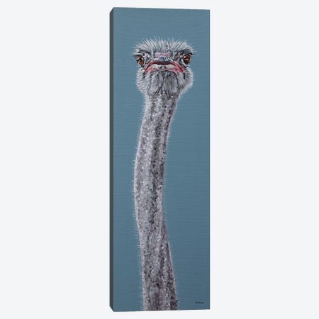 Ostrich Canvas Print #BTN30} by Clara Bastian Canvas Wall Art