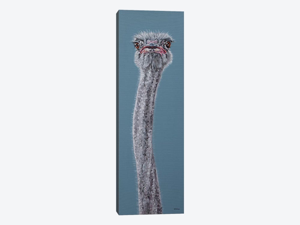 Ostrich by Clara Bastian 1-piece Canvas Wall Art
