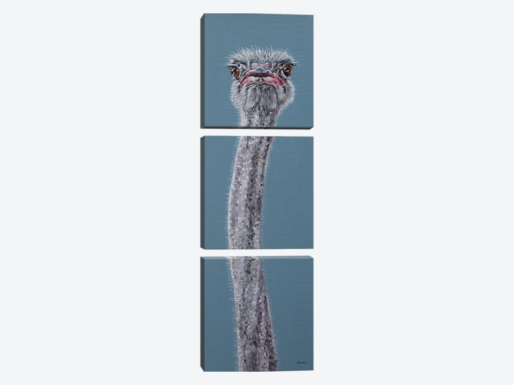 Ostrich by Clara Bastian 3-piece Canvas Artwork