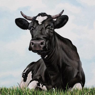 Pasture Cow by Clara Bastian acrylic art print