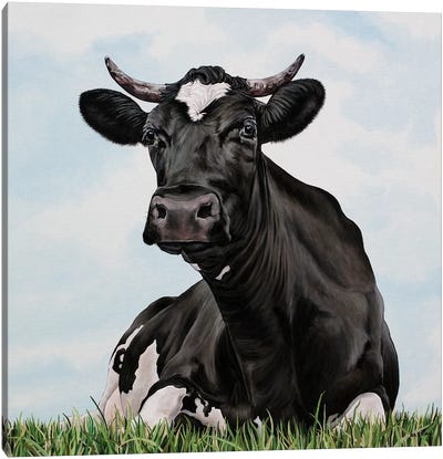 Pasture Cow Canvas Art Print - Cow Art