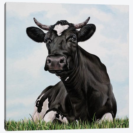 Pasture Cow Canvas Print #BTN31} by Clara Bastian Canvas Artwork