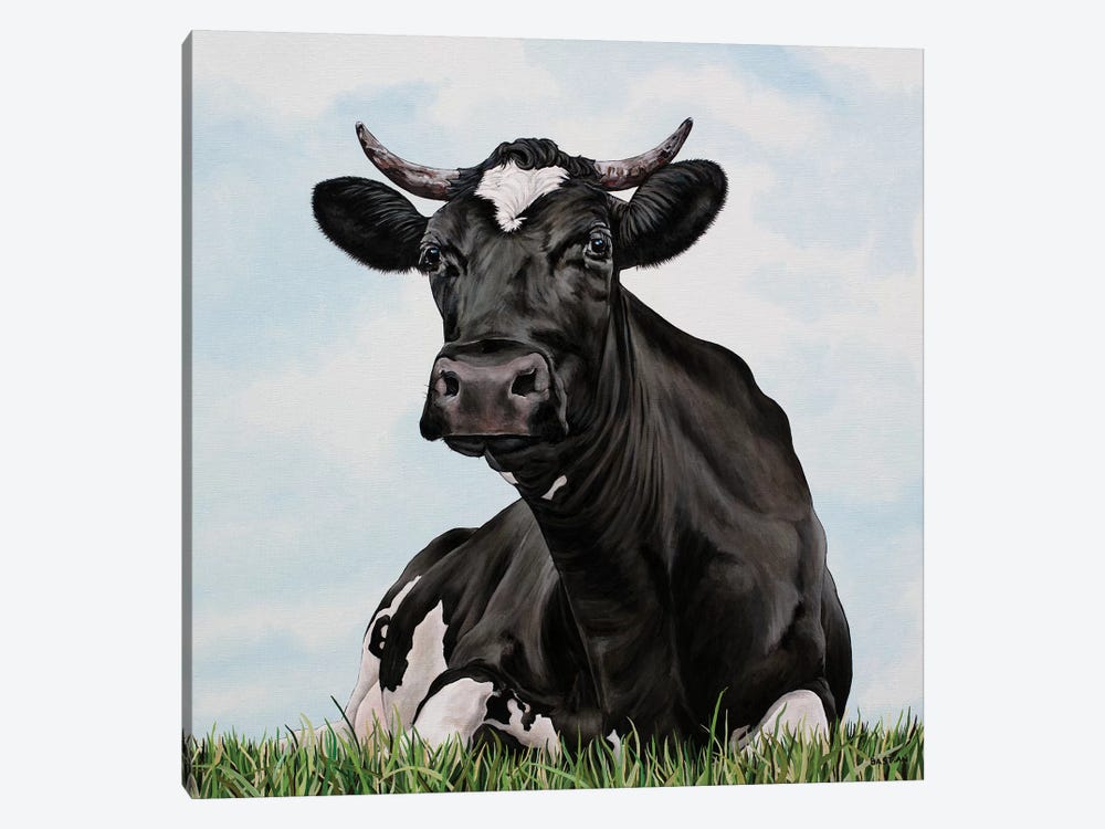 Pasture Cow by Clara Bastian 1-piece Canvas Print