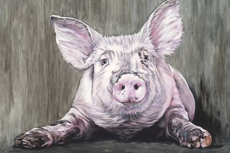 Pig