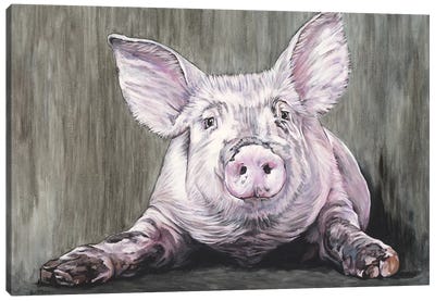 Pig Canvas Art Print - Clara Bastian