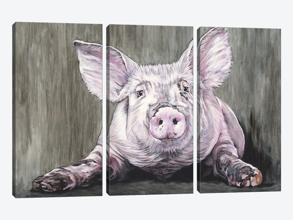 Pig by Clara Bastian 3-piece Canvas Art