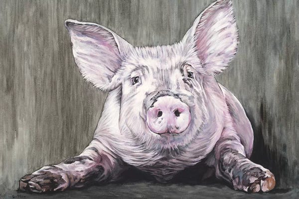 Pigs: Pig by Clara Bastian