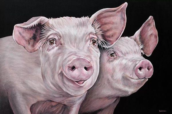 Pigs: Pirky And Porky by Clara Bastian