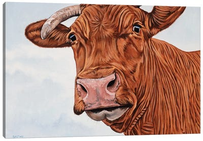 Red Cow Canvas Art Print - Cow Art