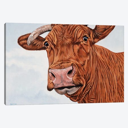 Red Cow Canvas Print #BTN35} by Clara Bastian Canvas Art Print