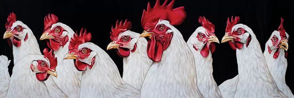 Chickens & Roosters: Rooster And Harem by Clara Bastian