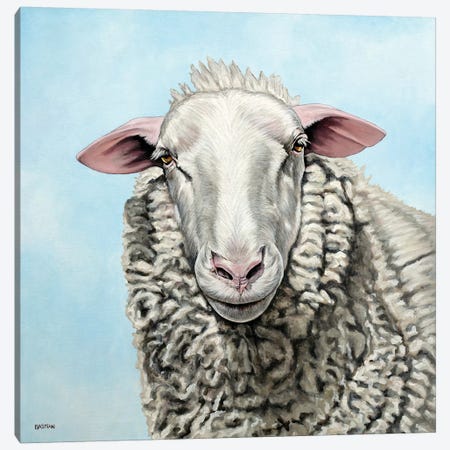 Sheep Canvas Print #BTN38} by Clara Bastian Canvas Art