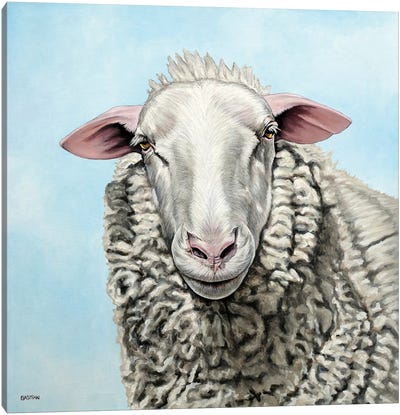 Sheep Canvas Art Print - Clara Bastian