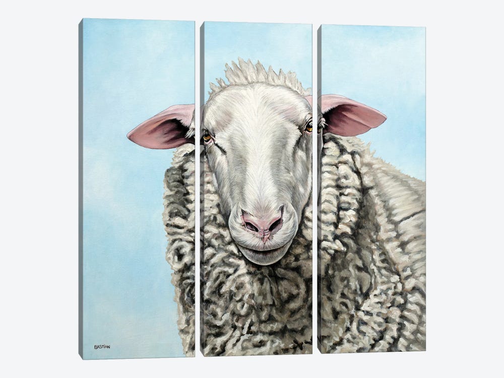 Sheep by Clara Bastian 3-piece Canvas Wall Art