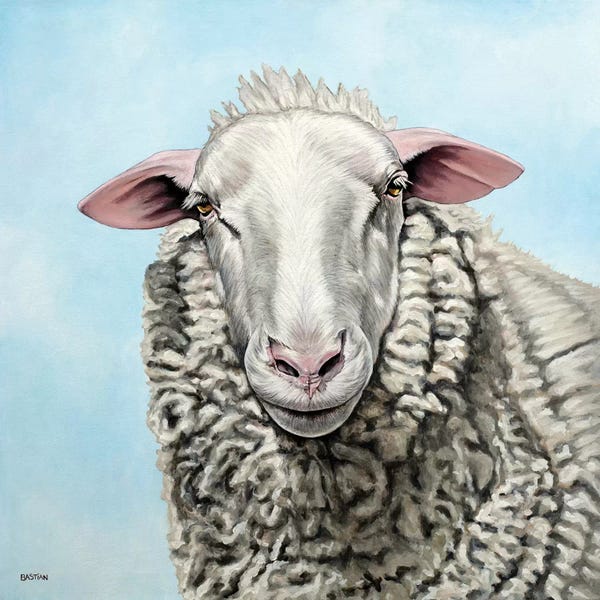 Sheep: Sheep by Clara Bastian
