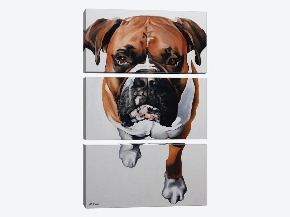 Boxer by Clara Bastian 3-piece Canvas Art