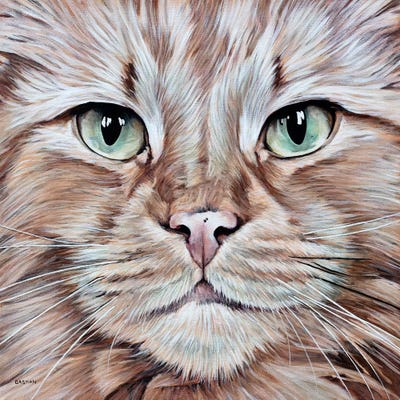 Tommy by Clara Bastian acrylic art print