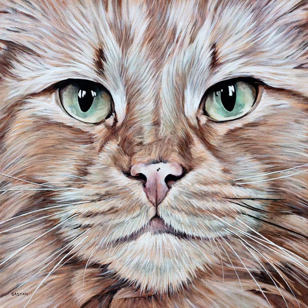 Santa Fe: Tommy by Clara Bastian