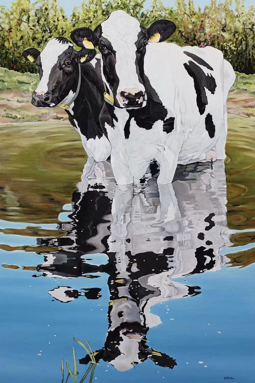 Two Cows In A Creek