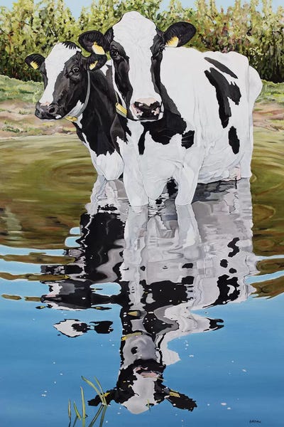 Two Cows In A Creek