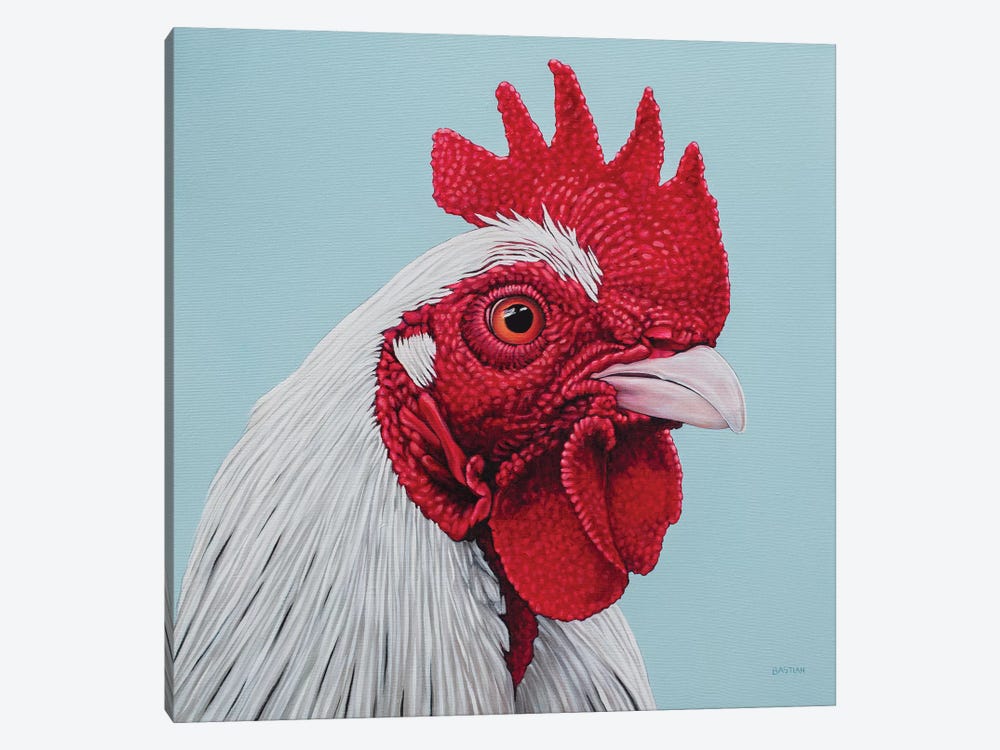 White Rooster by Clara Bastian 1-piece Canvas Print