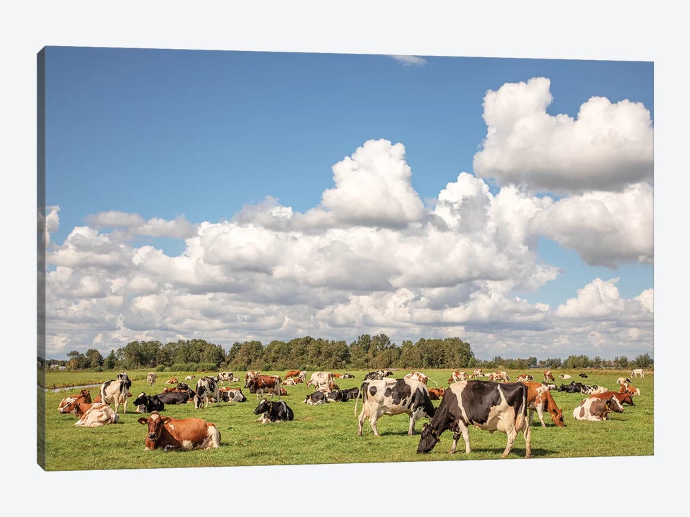 Grazing Cows In A Meadow by Clara Bastian 1-piece Canvas Wall Art