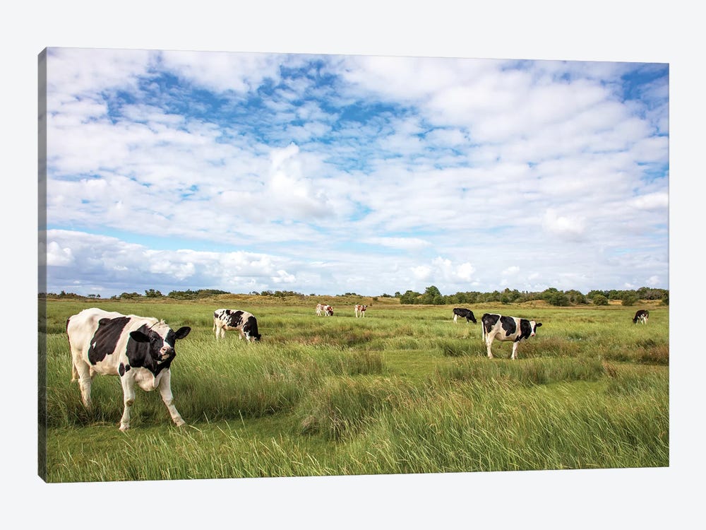 Cows In The Field by Clara Bastian 1-piece Canvas Wall Art