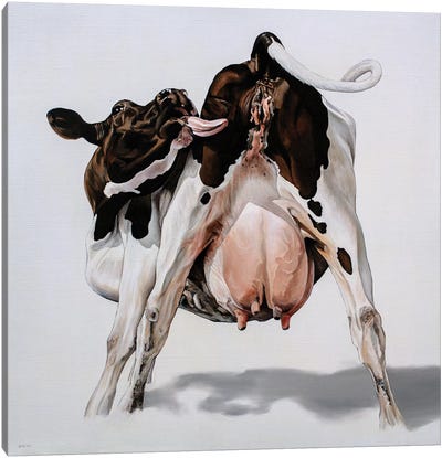 Candy Cow Canvas Art Print - Clara Bastian