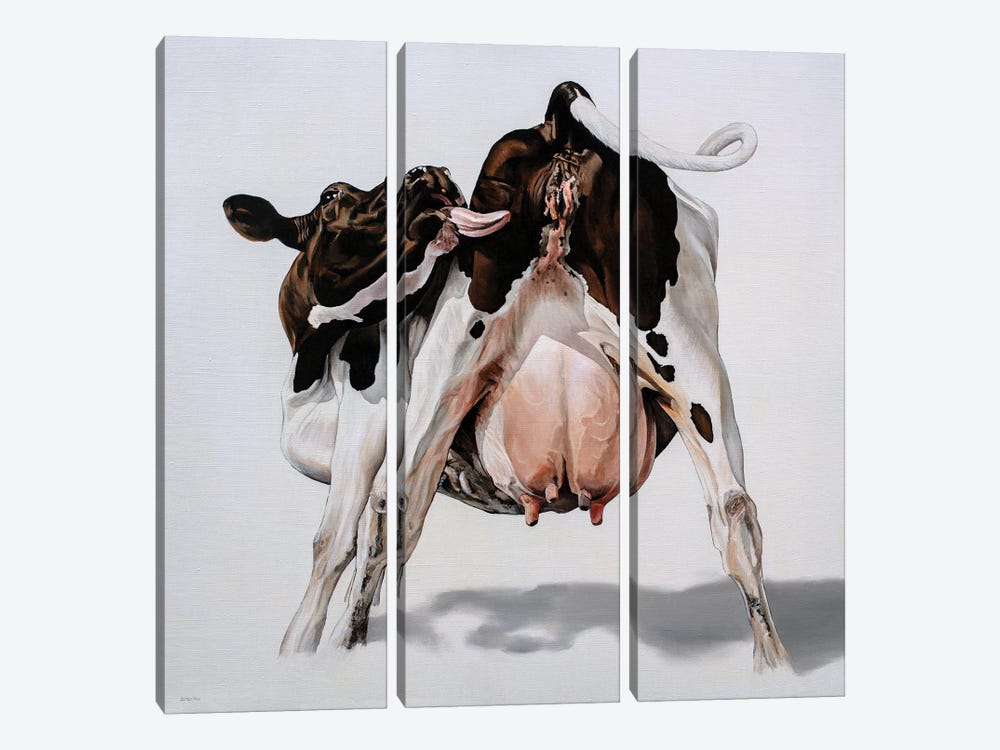 Candy Cow by Clara Bastian 3-piece Canvas Artwork