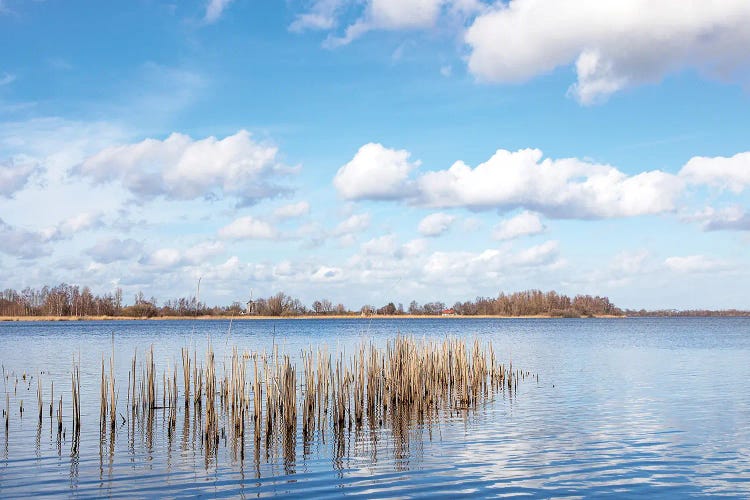 Holland by Clara Bastian wall art