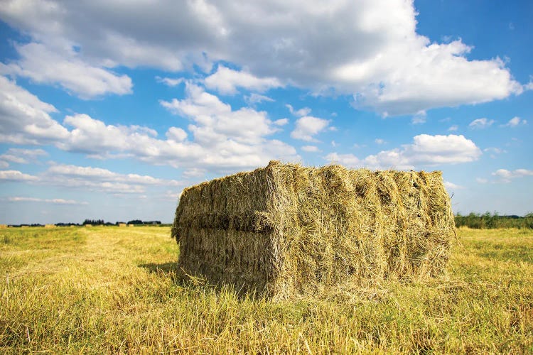 Straw in the field