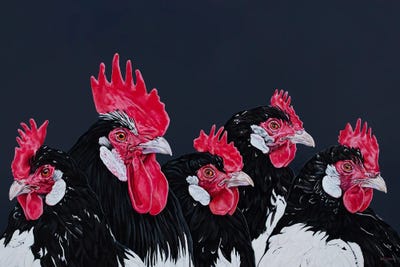 Rooster And Four Hen by Clara Bastian acrylic art print
