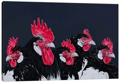 Rooster And Four Hen Canvas Art Print - Clara Bastian