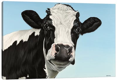 Cow Canvas Art Print - Clara Bastian