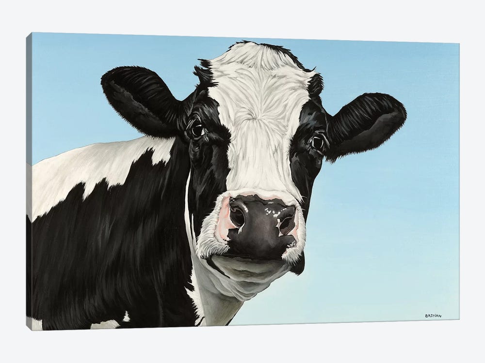 Cow by Clara Bastian 1-piece Canvas Print