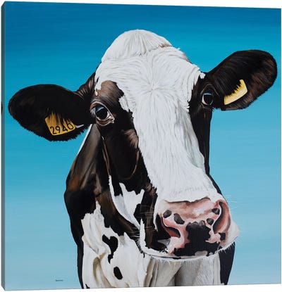 Cow 2940 Canvas Art Print - Clara Bastian