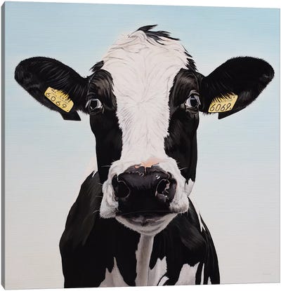 Cow 6069 Canvas Art Print - Clara Bastian