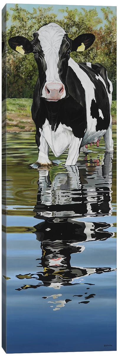 Cow In A Creek Canvas Art Print - Clara Bastian